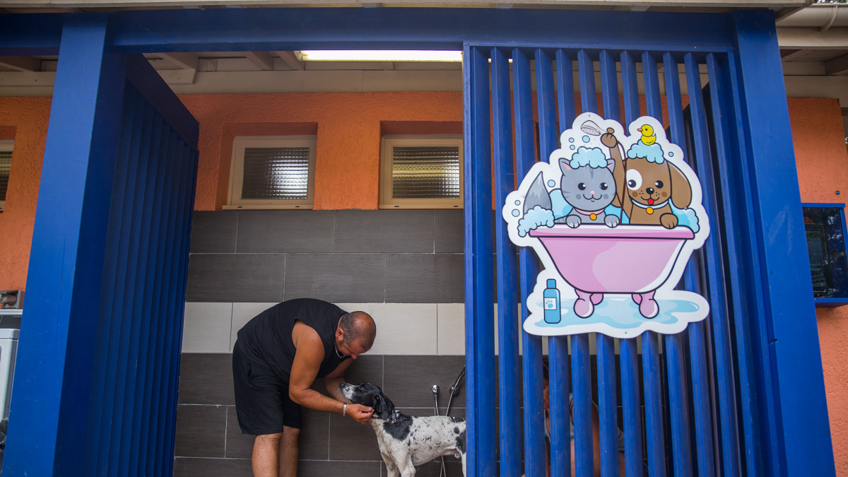 Lou Pignada Aquitanien - Messanges visuel 8/10 Lou Pignada Aquitanien - Messanges visuel 8/10