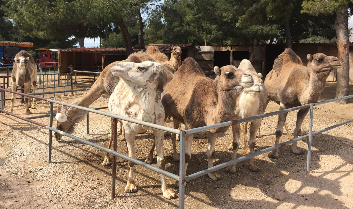 Marina Plage Provence-Alpes-Côte d'Azur - Vitrolles visuel 25/29