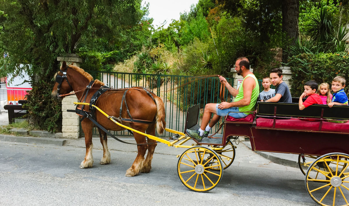 Marina Plage Provence-Alpes-Côte d'Azur - Vitrolles visuel 26/29