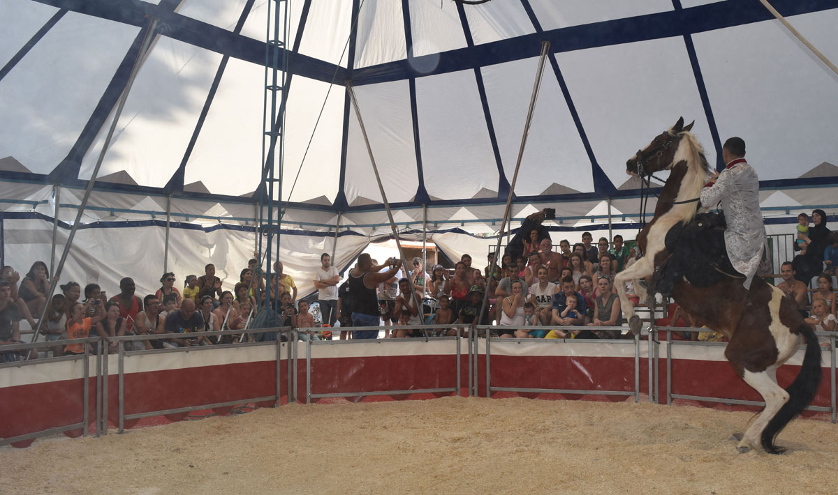 Marina Plage Provence-Alpes-Côte d'Azur - Vitrolles visuel 5/29