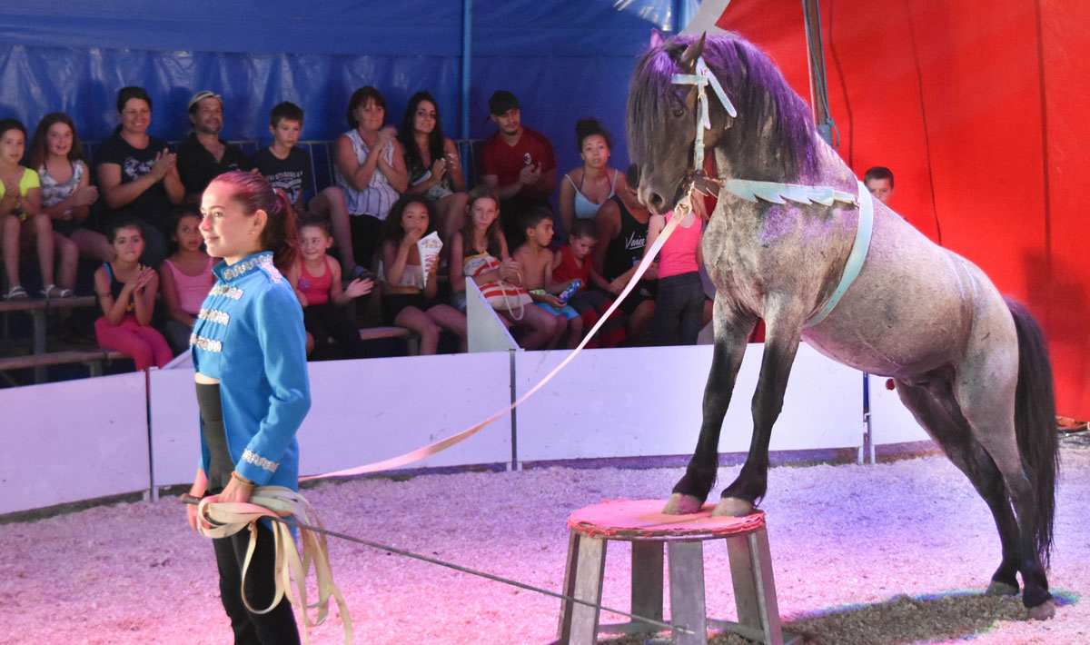 Marina Plage Provence-Alpes-Côte d'Azur - Vitrolles visuel 8/29