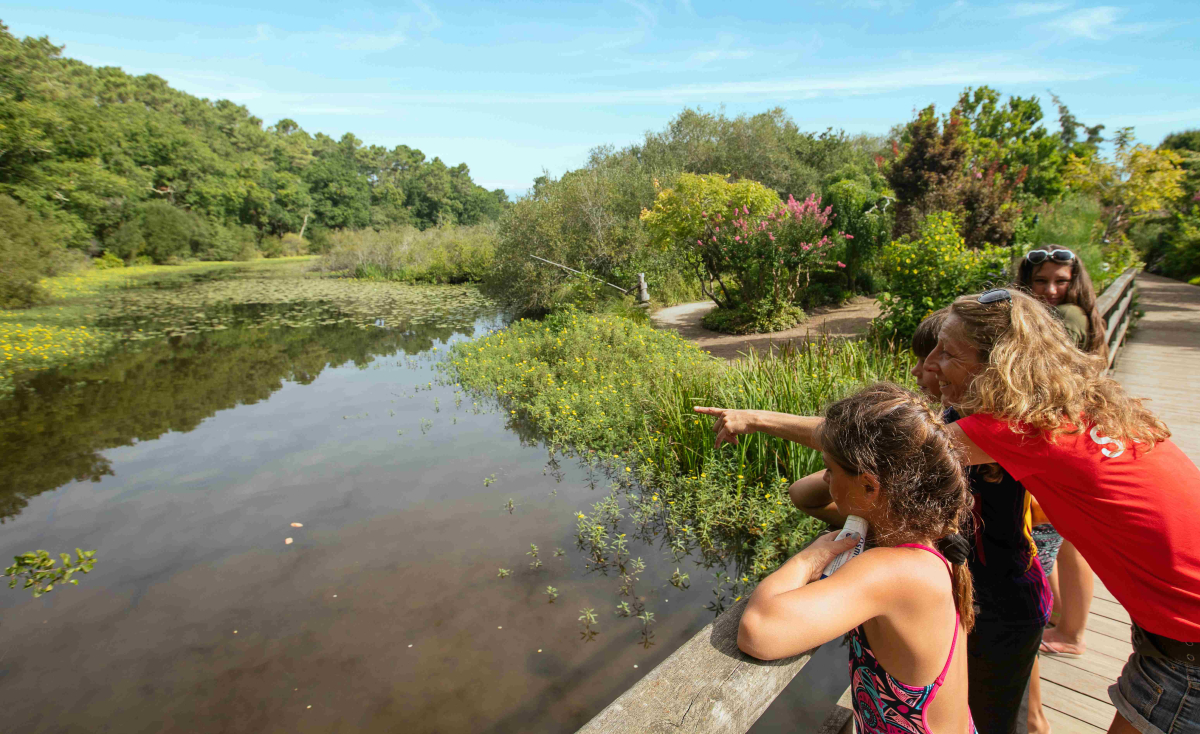 Mimizan Lac Aquitanien - Mimizan visuel 5/10