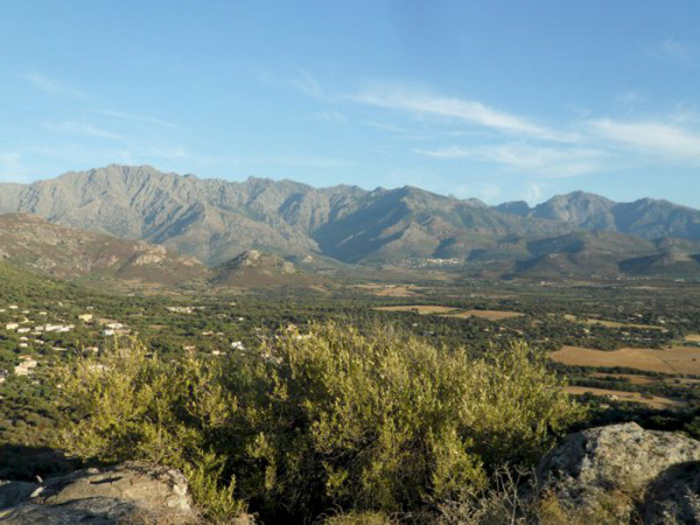 Monte-ortu Korsika - Lumio visuel 11/12 Monte-ortu Korsika - Lumio visuel 11/12