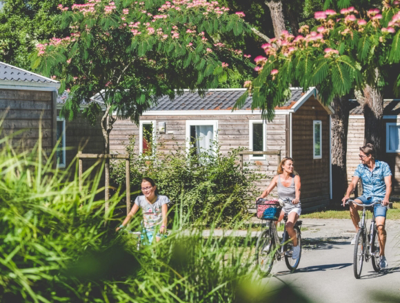 Nantes Camping Das Loire-Gebiet - Nantes visuel 7/11