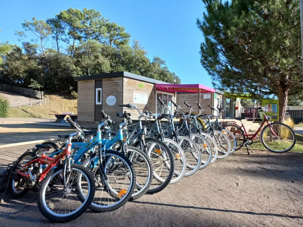 Parfums d'été Das Loire-Gebiet - Jard-sur-Mer visuel 13/13