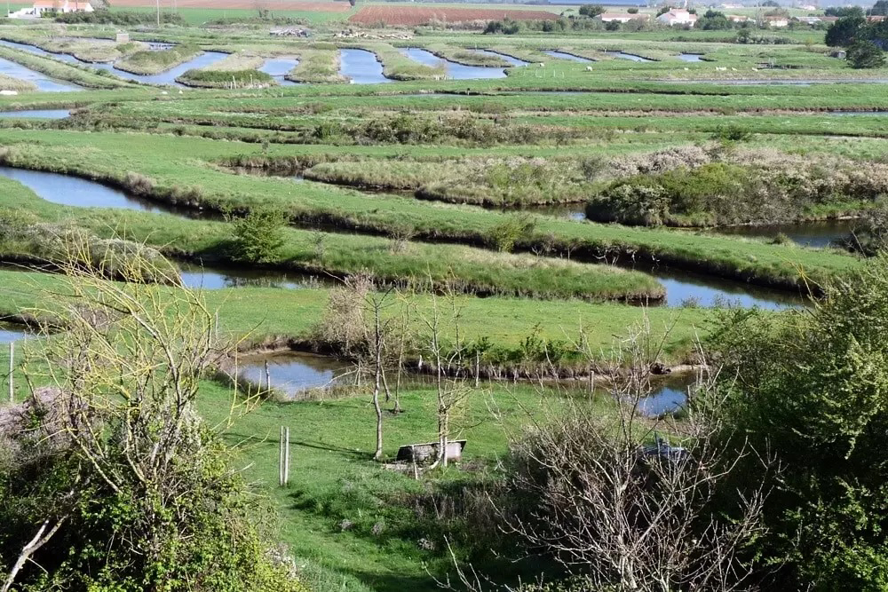 Parfums d'été Das Loire-Gebiet - Jard-sur-Mer visuel 8/13