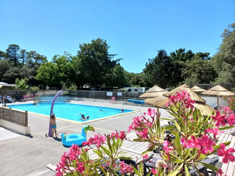 Parfums d'été Das Loire-Gebiet - Jard-sur-Mer visuel 2/13