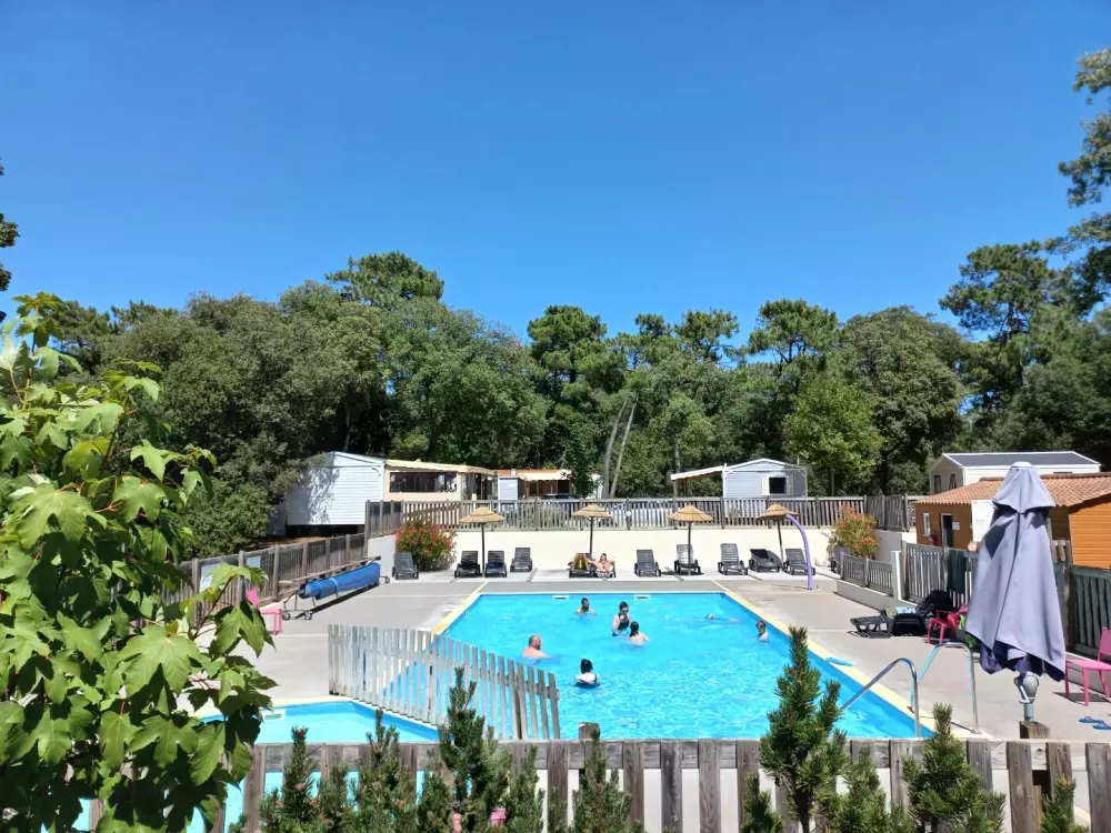 Parfums d'été Das Loire-Gebiet - Jard-sur-Mer visuel 3/13