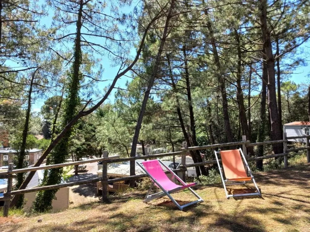 Parfums d'été Das Loire-Gebiet - Jard-sur-Mer visuel 12/13