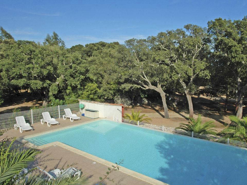 Pezza Cardo Korsika - Porto-Vecchio visuel 1/7