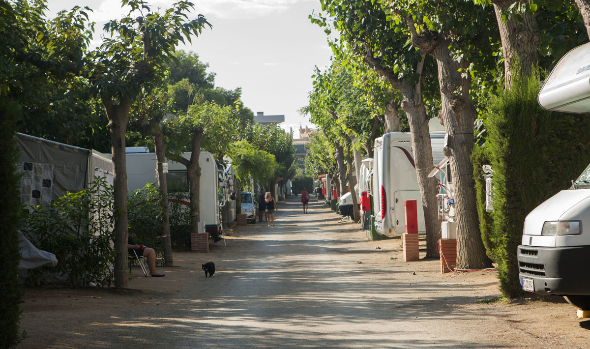Playa Cambrils Costa Dorada - Cambrils visuel 25/43 Playa Cambrils Costa Dorada - Cambrils visuel 25/43