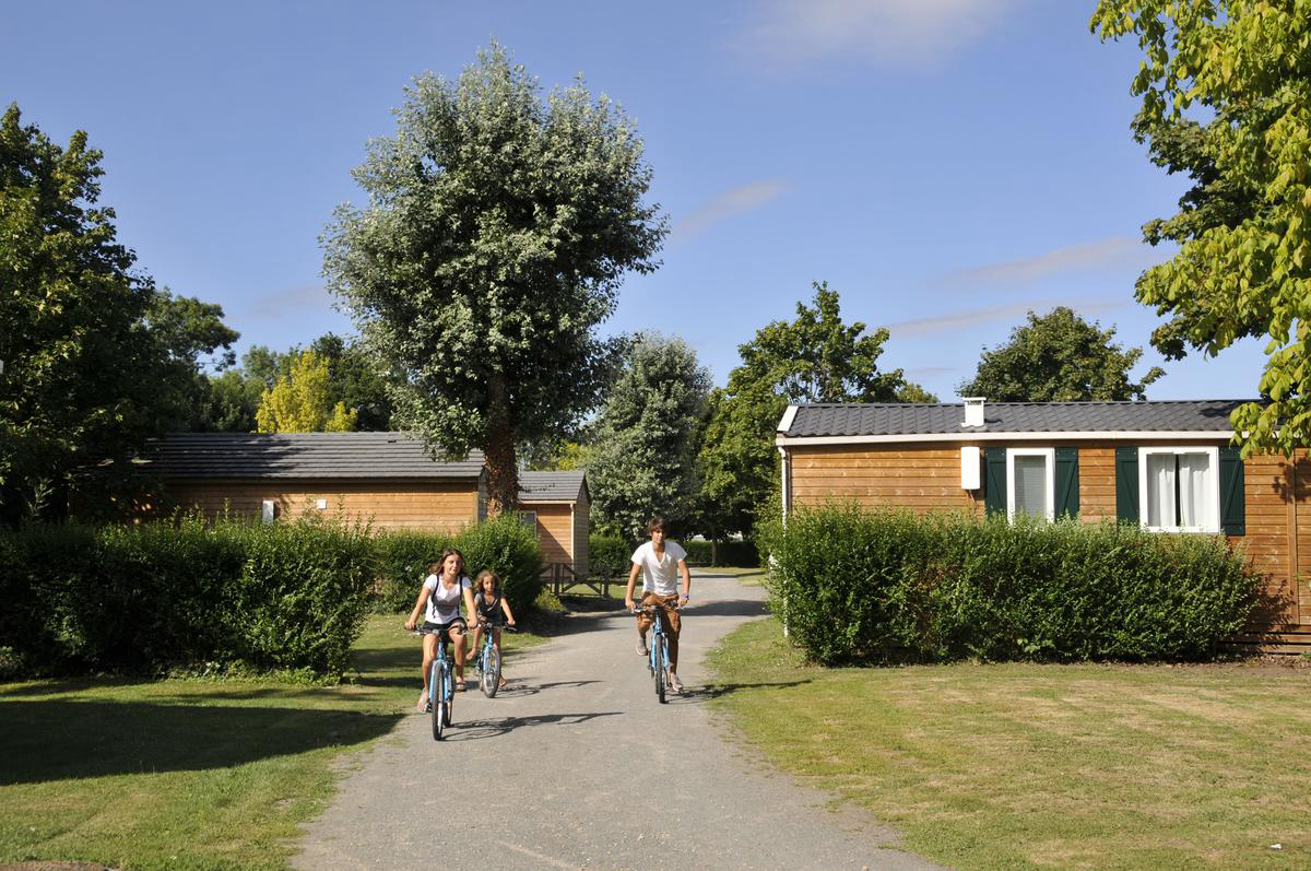 Port de Caroline Das Loire-Gebiet - Brain-sur-l'Authion visuel 8/12