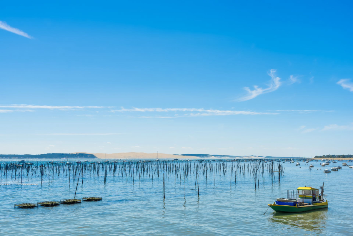 Camping MS Le Pyla 4* Aquitanien - Pyla sur Mer visuel 20/20