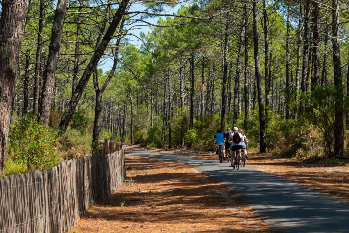 Camping MS Le Pyla 4* Aquitanien - Pyla sur Mer visuel 12/20