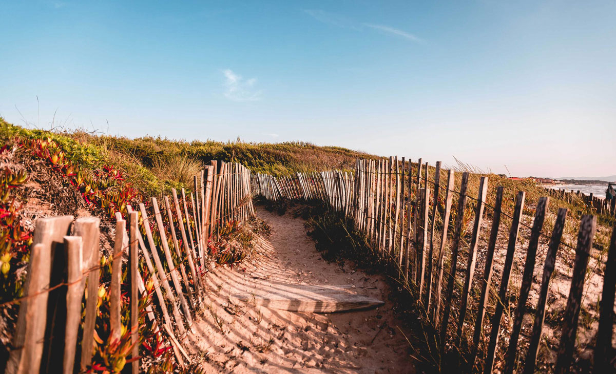 Salines Provence-Alpes-Côte d'Azur - Giens visuel 11/16 Salines Provence-Alpes-Côte d'Azur - Giens visuel 11/16