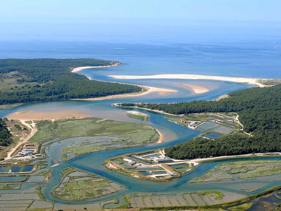 Sun Océan Das Loire-Gebiet - Talmont-Saint-Hilaire visuel 11/21 Sun Océan Das Loire-Gebiet - Talmont-Saint-Hilaire visuel 11/21
