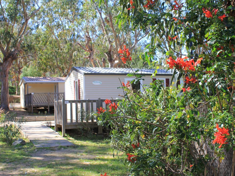 U Pezzo Korsika - Saint-Florent visuel 6/13