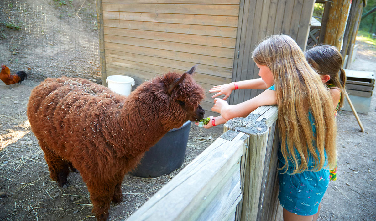Verdon Parc Provence-Alpes-Côte d'Azur - Gréoux-les-Bains visuel 14/31 Verdon Parc Provence-Alpes-Côte d'Azur - Gréoux-les-Bains visuel 14/31