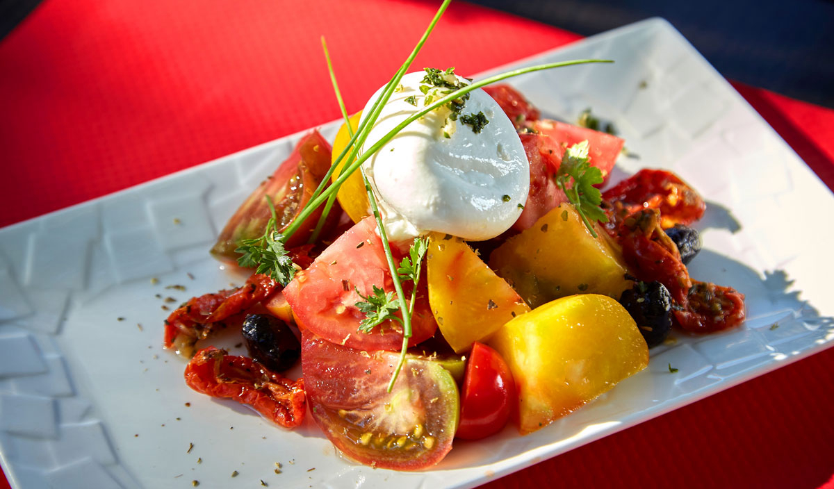 Verdon Parc Provence-Alpes-Côte d'Azur - Gréoux-les-Bains visuel 31/31 Verdon Parc Provence-Alpes-Côte d'Azur - Gréoux-les-Bains visuel 31/31