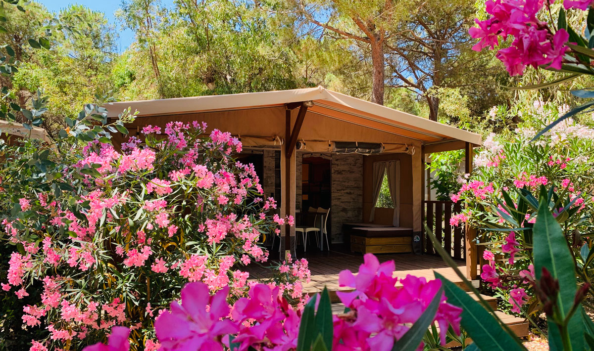 Village Rocchette Toskana - Castiglione della Pescaia visuel 26/62