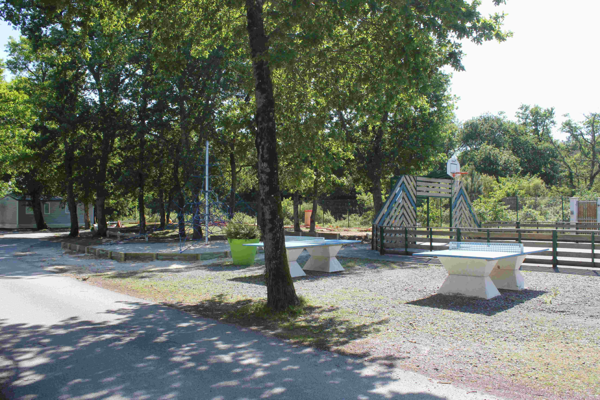 La Pointe Aquitanien - Capbreton visuel 8/10 La Pointe Aquitanien - Capbreton visuel 8/10