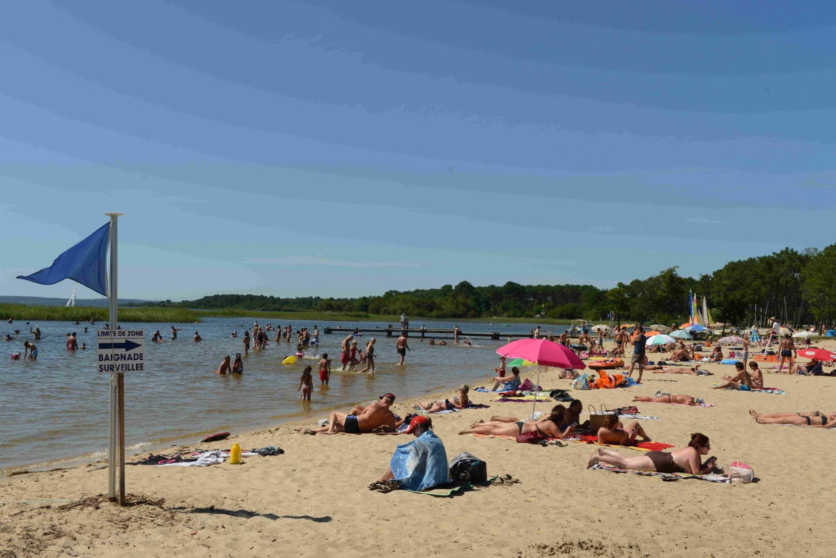 Le Pipiou Aquitanien - Parentis-en-Born visuel 11/11