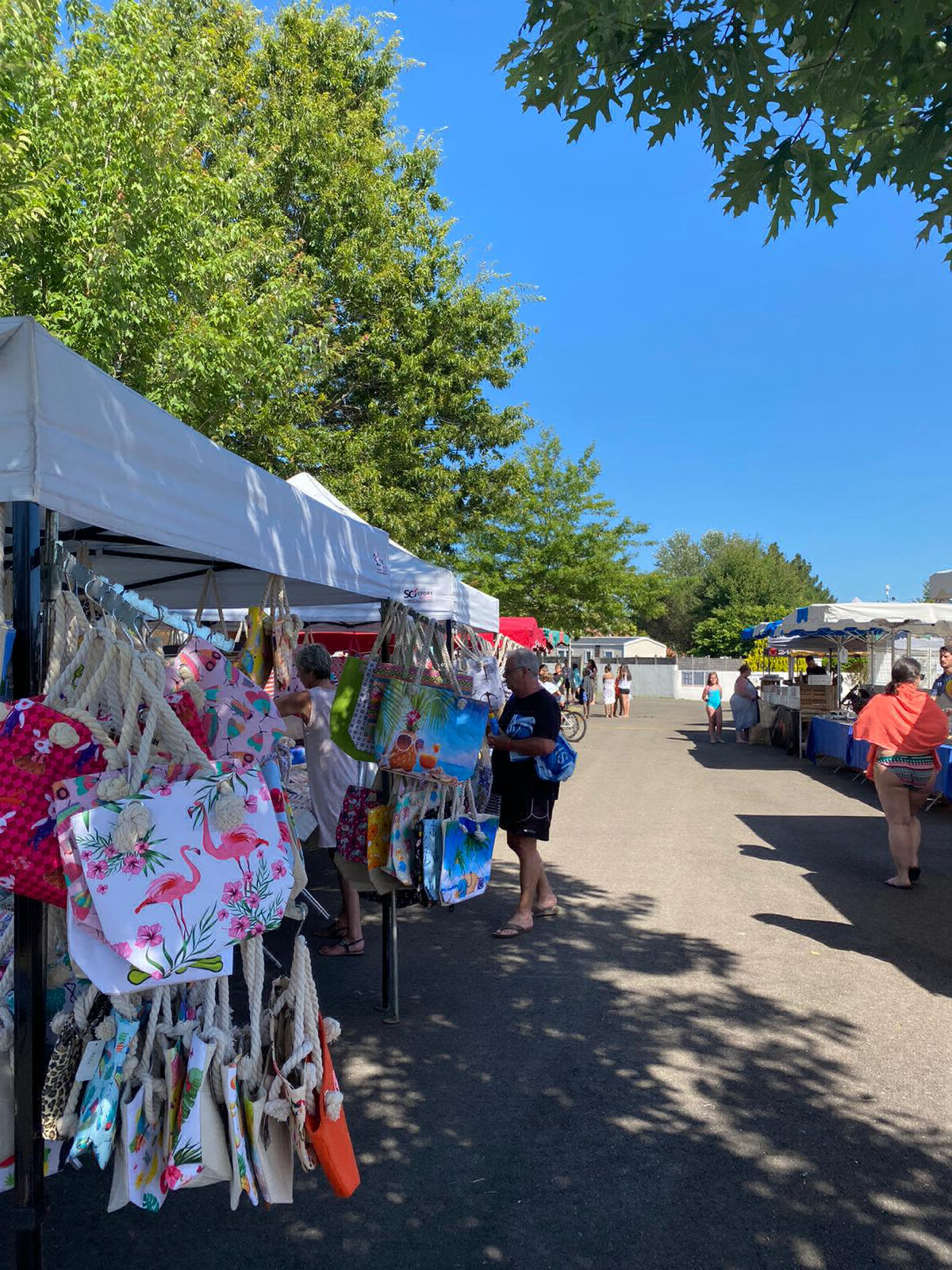 Le Pipiou Aquitanien - Parentis-en-Born visuel 3/11