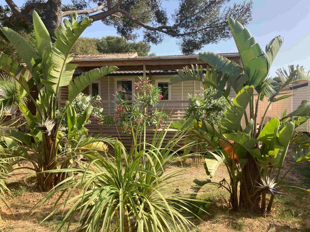 Le Rayolet Provence-Alpes-Côte d'Azur - Six Fours les Plages visuel 3/4 Le Rayolet Provence-Alpes-Côte d'Azur - Six Fours les Plages visuel 3/4