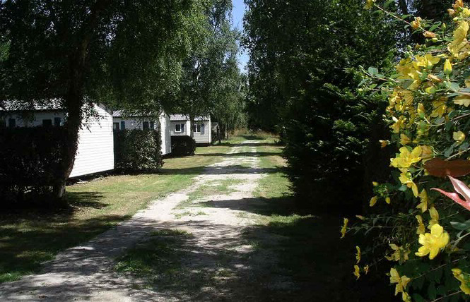 Camping du Clérigo - Theix