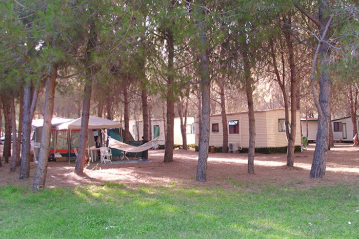 Campingplatz Lotzorai : 2 Campingplätze et 7 in der Nähe - Toocamp