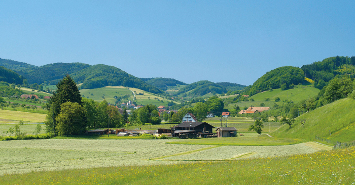 steinach - 2 - MAGAZINs