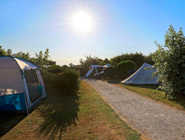 Camping Saint-Pierre-en-Port - 2 - MAGAZINs