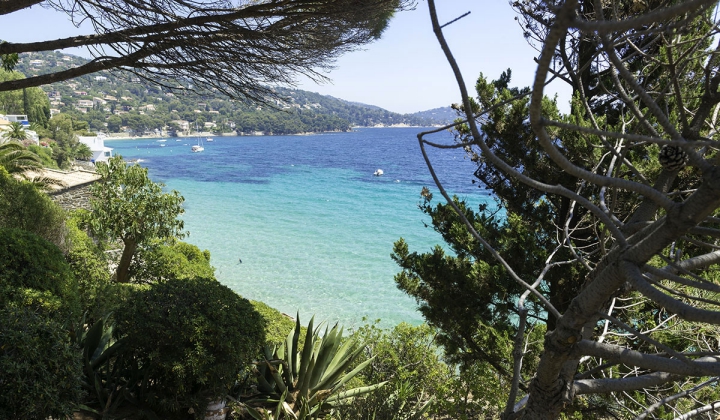 Camping Le Lavandou - 8 - MAGAZINs