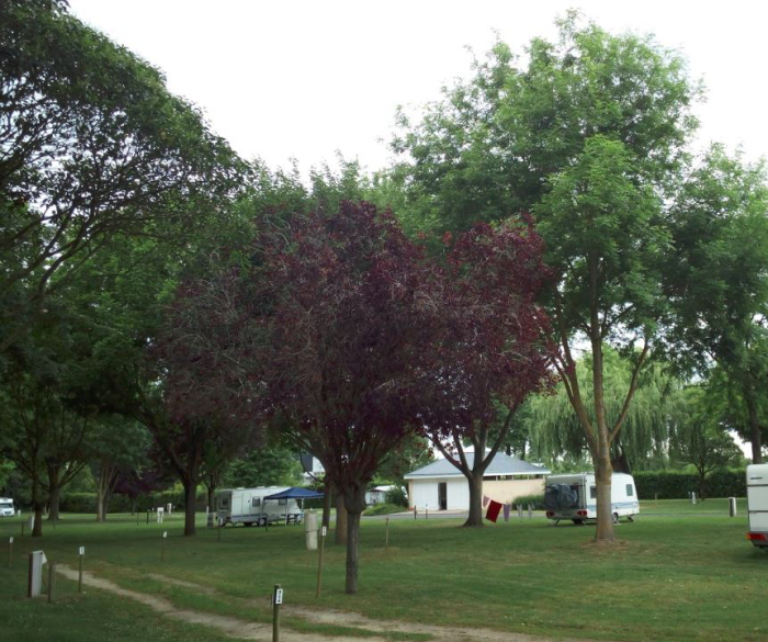Camping Les Rives du Douet - Doué-la-Fontaine