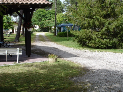 Camping La Pinède - Lège Cap Ferret