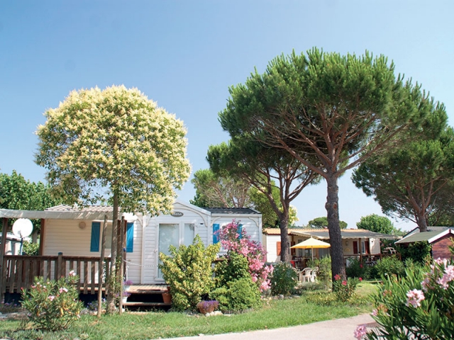 Camping La Pinède - Grimaud