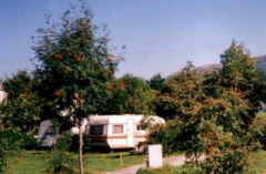 Camping Le Mont-Dore - 2 - MAGAZINs