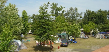 Camping - Parentis-en-Born - Aquitanien - Camping L'Arbre d'Or - Image #6