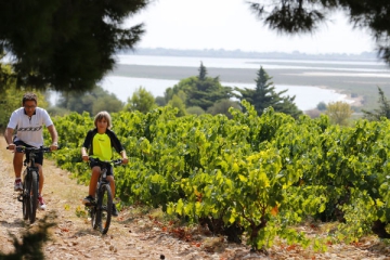 Camping Le Clapotis - Domaine Naturiste - La Palme