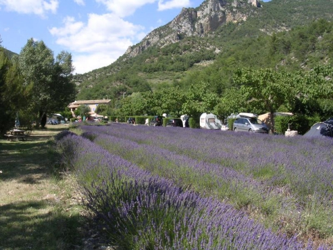 Camping Saint-Ferréol-Trente-Pas - 2 - MAGAZINs