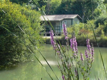 Camping Les Chalets de la Héronnière - Chef-Boutonne