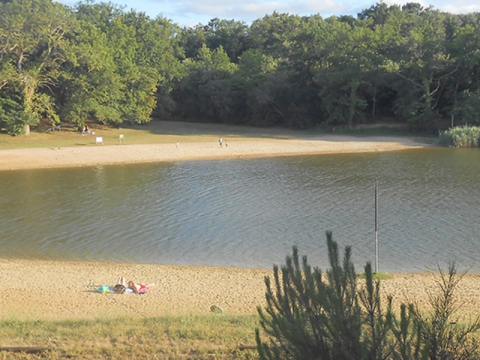 Camping Les Châtaigniers - Brossac