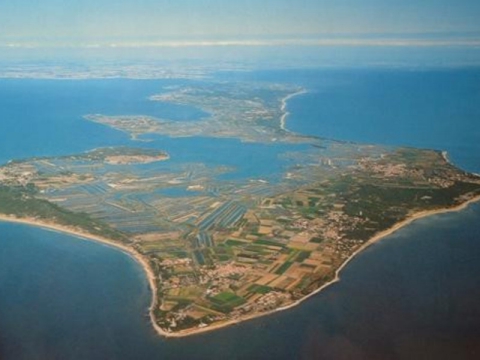 Camping Les Dunes - Le Bois-Plage-en-Ré