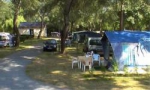 Camping l'Île du Château - Les Ponts-de-Cé