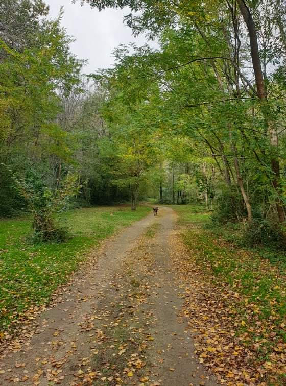 Camping La vallée de roussy - Lacrouzette