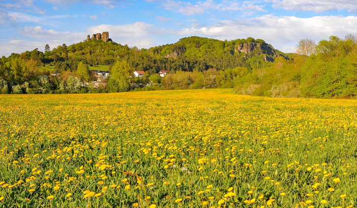 Camping Waldferienpark Gerolstein - Gerolstein